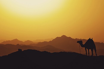 desierto sahara